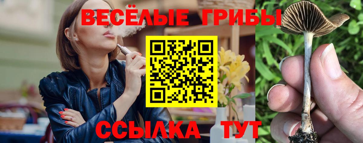 Галлюциногенные грибы ЛСД Каспийск